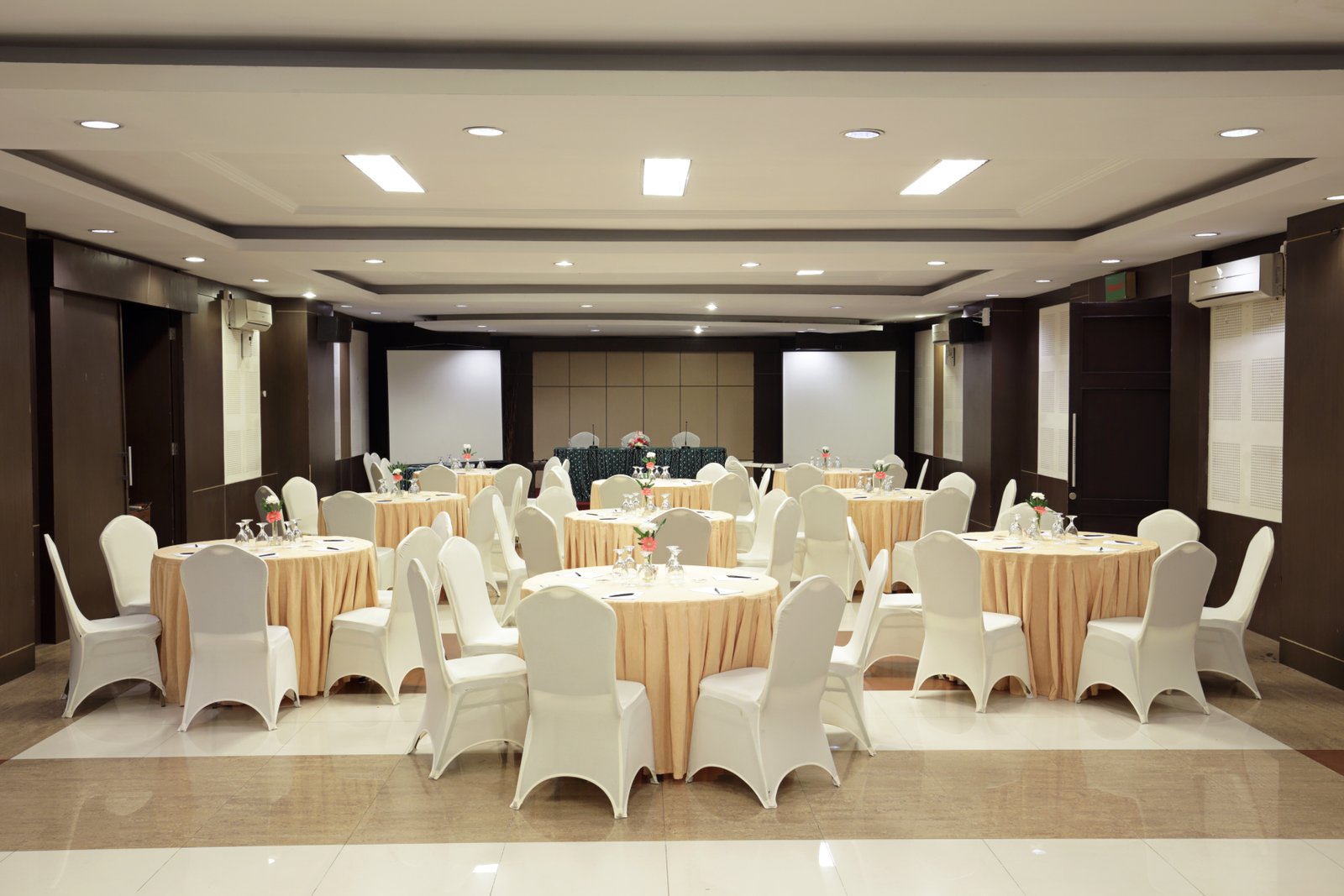 Conferences & Meeting